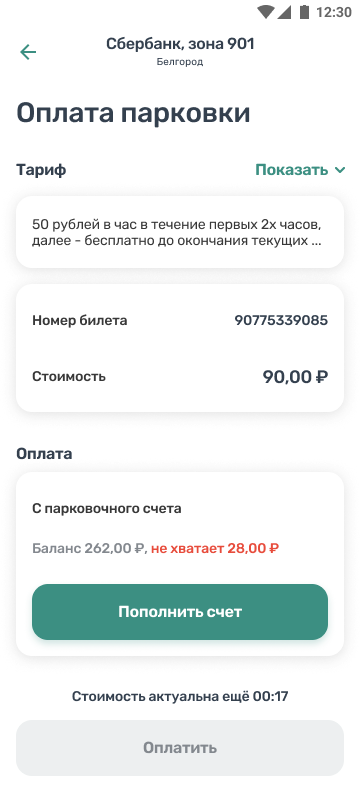 Экран оплаты городской парковки
